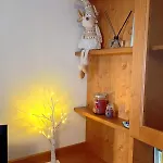 Cuore Carnico Con Terrazza Panoramica Apartment *